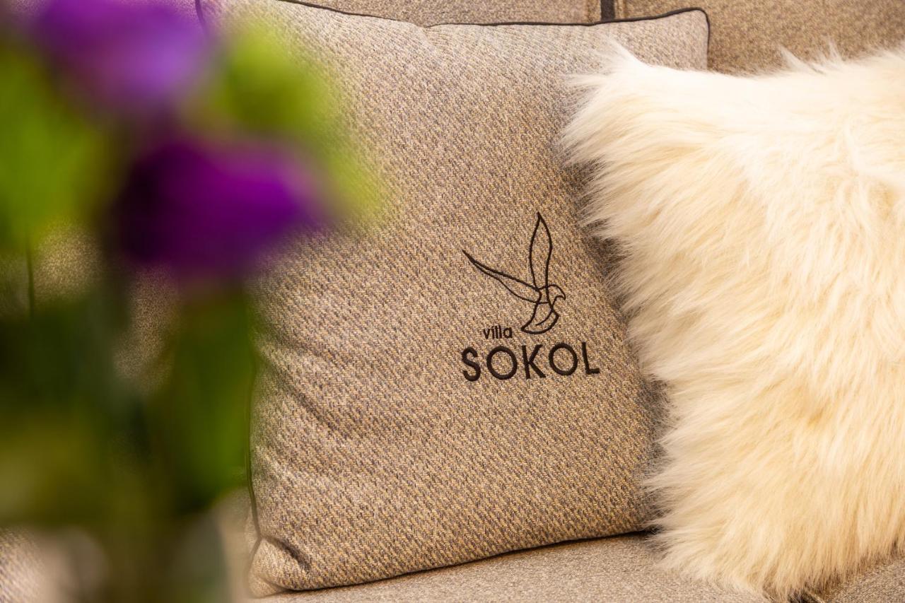 Villa Sokol โบโรเวทส์ ภายนอก รูปภาพ
